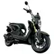 110 ZOOMER 2013 ACG110CBFE_TH