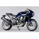 1100 HAWK 2023 ASP1100P