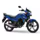 125 CBF 2024 CBF125MER