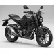 300 CBF 2022 CBF300NAN