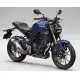 300 CBF 2023 CBF300NAP