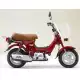 50 CHALY 1981 CF50AMB