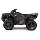 420 FOURTRAX 2020 TRX420FA6L