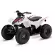 90 FOURTRAX 2022 TRX90XN