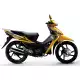 100 other-models 2015 WH100_2_III_2015