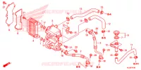 RADIATEUR D'HUILE pour Honda PIONEER 700 M4P RED de 2018