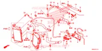 FLEXIBLE DE RADIATEUR/TUYAU D'EAU pour Honda AFRICA TWIN 1000 LOWER de 2018