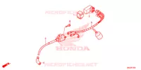 FAISCEAU DES FILS pour Honda CRF 50 de 2018