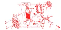 RADIATEUR pour Honda TACT 50 BASIC de 2018