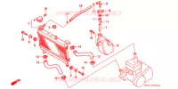 RADIATEUR pour Honda NS1 50 ROTHMANS de 1994