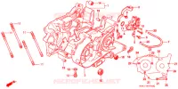 CARTER MOTEUR   POMPE A HUILE pour Honda NS1 50 BLACK de 1995