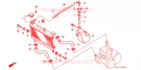 RADIATEUR pour Honda NS1 50 WHITE de 1995