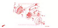 ALTERNATEUR (C50D,S,ST 5/7) pour Honda SUPER CUB 50 DELUXE de 2005