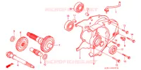 BOITE DE VITESSES pour Honda TACT 50 SPECIAL de 1989