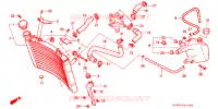 RADIATEUR pour Honda NSR 250 SE RED RIMS de 1994