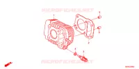 CYLINDRE pour Honda SUPER CUB 50 SPECIAL 60 TH de 2018