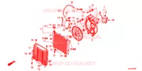 RADIATEUR pour Honda TALON 1000 X de 2020