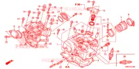 CULASSE pour Honda FOURTRAX 680 RINCON de 2020