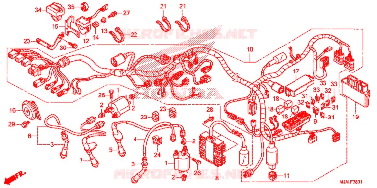 FAISCEAU DES FILS (VT750CS) Honda MOTO 750 SHADOW 2020  VT750CSL