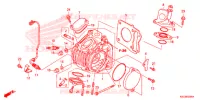 CULASSE pour Honda SUPER CUB 125 ABS de 2020