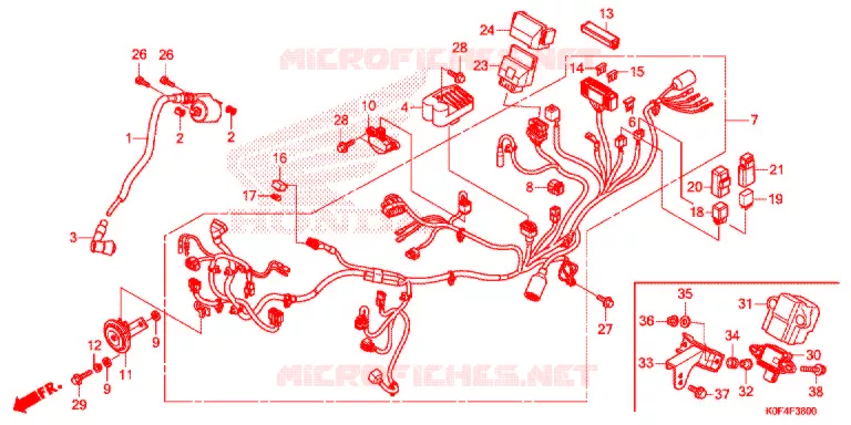 FAISCEAU DES FILS Honda MOTO 125 MONKEY 2021  Z125MAM