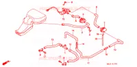 SOUPAPE D'ADMISSION pour Honda CBR 600 de 1997