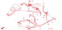 SOUPAPE D'ADMISSION pour Honda CBR 600 50HP de 1998