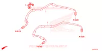 DURITE DE FREIN AVANT pour Honda CB 125 R ABS de 2021
