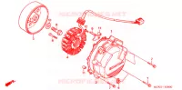 ALTERNATEUR pour Honda VFR 800 VTEC TWO TONES de 2009