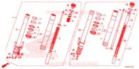 FOURCHE pour Honda CB 300 R de 2021