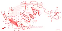 RADIATEUR   VASE D'EXPANSION pour Honda REBEL 1100 DCT de 2021