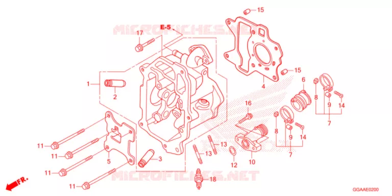 CULASSE Honda SCOOTER 50 RUCKUS 2021  NPS50N_A
