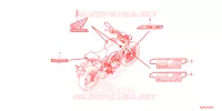 AUTOCOLLANTS pour Honda CB 300 R ABS de 2022