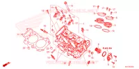 CULASSE pour Honda NT 1100 DCT de 2022