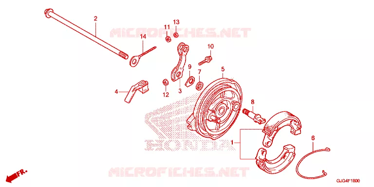 FLASQUE - MACHOIRES DE FREIN ARRIERE Honda MOTO 50 CRF 2024  CRF50FP
