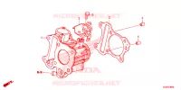CYLINDRE pour Honda GIORNO 50 de 2023