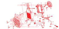 RADIATEUR pour Honda GIORNO 50 de 2023