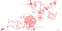 CULASSE pour Honda LEAD 125 de 2023