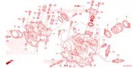 CULASSE pour Honda PIONEER 700 M2 de 2022