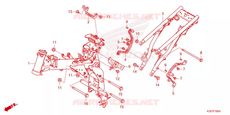 CADRE Honda MOTO 125 MSX 2023  MSX125P_LO