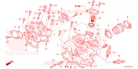 CULASSE pour Honda PIONEER 700 M4 DELUXE de 2022