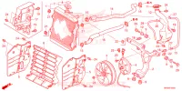 RADIATEUR pour Honda FOURTRAX 520 RUBICON DCT IRS EPS de 2023
