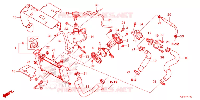 RADIATEUR Honda MOTO 150 RS 2024  FS150FAP_MA