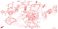 CULASSE pour Honda FOURTRAX 520 FOREMAN de 2023