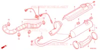 SILENCIEUX D'ECHAPPEMENT pour Honda FOURTRAX 520 FOREMAN 4X4 ES PS de 2023