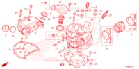 CULASSE pour Honda FOURTRAX 520 FOREMAN 4X4 EPS de 2022