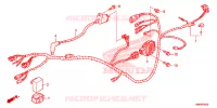 FAISCEAU DES FILS pour Honda TRX SPORTRAX 250 X de 2023