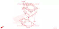 CYLINDRE pour Honda FOURTRAX 420 RANCHER 4X4 EPS Manual Shift de 2023