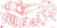 RADIATEUR pour Honda FOURTRAX 520 RUBICON 4X4 AT DCT de 2023