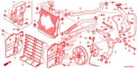 RADIATEUR pour Honda FOURTRAX 520 RUBICON IRS EPS de 2023
